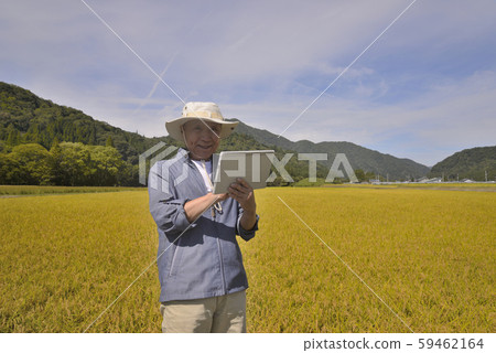 Senior managing paddy field with tablet Senior managing paddy field with tablet 59462164