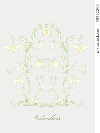 Galanthus, snowdrop, nivalis. Set of elements for design Galanthus, snowdrop, nivalis. Set of elements for design 59462200