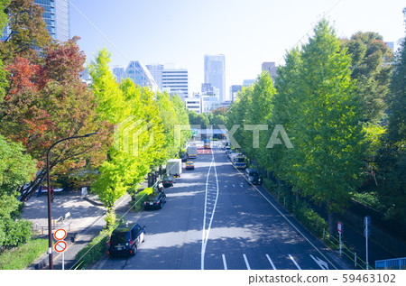 南木堂大成門 59463102