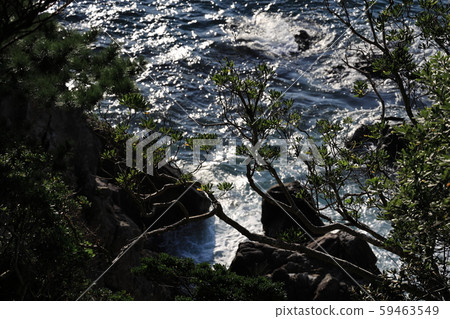 Rocks and waves and green 59463549