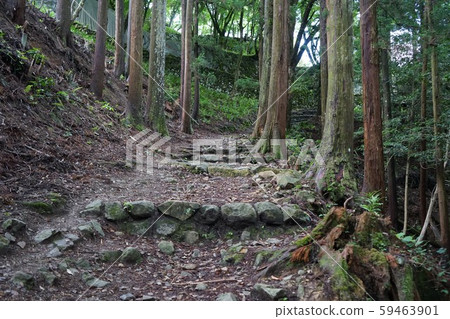 Scenery of Tsuwano Sanbonmatsu Castle Ruins Scenery of Tsuwano Sanbonmatsu Castle Ruins 59463901