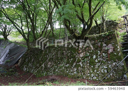 Scenery of Tsuwano Sanbonmatsu Castle Ruins Scenery of Tsuwano Sanbonmatsu Castle Ruins 59463948