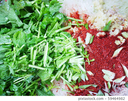 Kimchi-ingredients in kimchi Kimchi-ingredients in kimchi 59464982