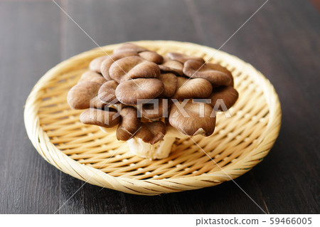 大理石牡蠣蘑菇 59466005