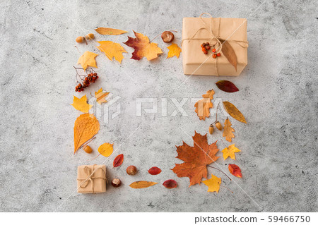 frame of gifts, autumn leaves and rowanberry frame of gifts, autumn leaves and rowanberry 59466750