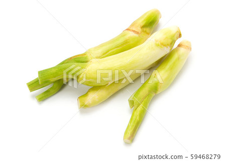 Makomodake Makomodake 59468279