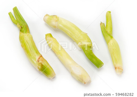 Makomodake Makomodake 59468282