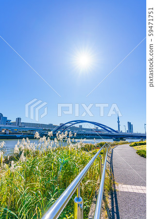 日本秋天的鈴木和天空樹 59471751