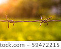 barbed wire and evening light. 59472215
