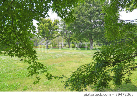 東京府中市小金井市武藏野公園 59472363