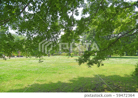 Fuchu City, Tokyo Koganei City Musashino Park 59472364