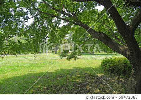 Fuchu City, Tokyo Koganei City Musashino Park Fuchu City, Tokyo Koganei City Musashino Park 59472365
