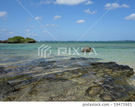 Star of sand sand 02 Star of sand sand 02 59473983