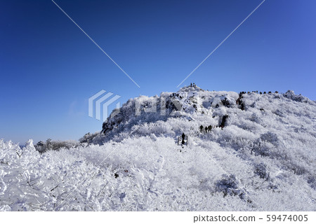 Deokyoung Sangyo University Deokyoung Sangyo University 59474005