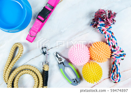 Pet accessories concept.  Toy, Collars, nail 59474897