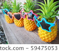 pineapple  59475053