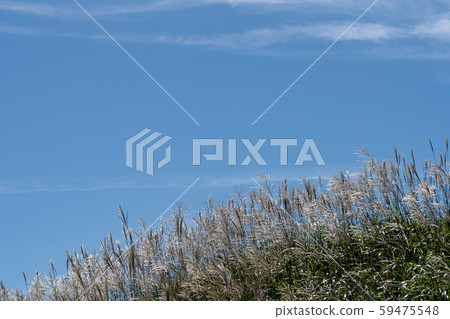 函館山鈴木社區和琵琶湖 59475548