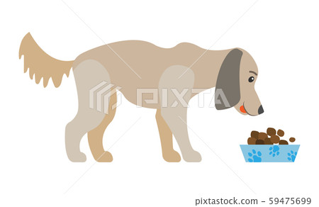 Dog Eating Food From Bowl Isolated Cartoon Canine 59475699