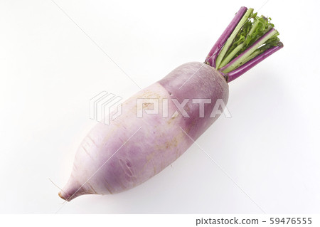 Red Crimson Radish Red Crimson Radish 59476555