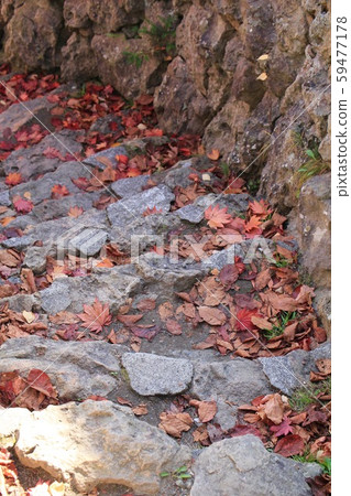 Fallen autumn leaves on the stone steps in the park 59477178