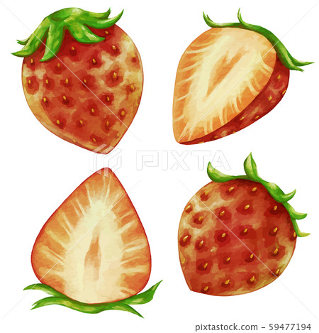 Illustration of red strawberries strawberry 59477194