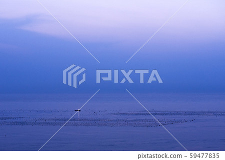 韓國 韓國 59477835