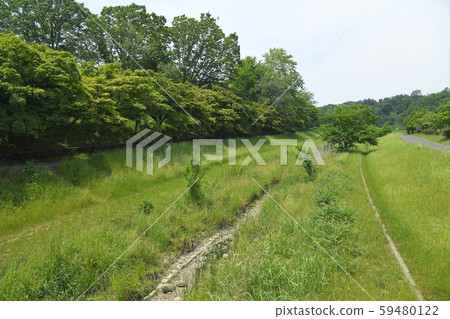 Fuchu City, Tokyo Koganei City Musashino Park 59480122