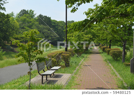 東京府中市小金井市武藏野公園 59480125