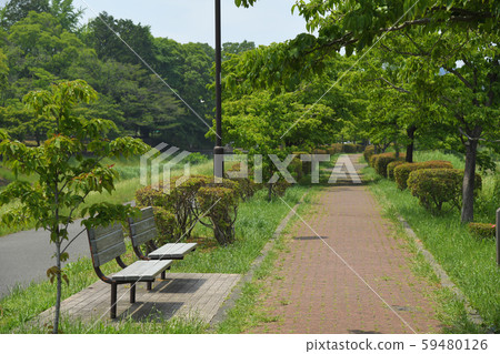 東京府中市小金井市武藏野公園 59480126