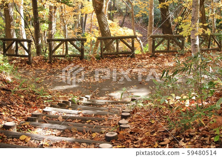 Log stairs in a park during the autumn foliage season Autumn park Log stairs in a park during the autumn foliage season Autumn park 59480514
