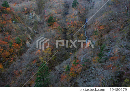 Nikko, Tochigi Prefecture Nikko in autumn, small stream next to Kegon Falls Nikko, Tochigi Prefecture Nikko in autumn, small stream next to Kegon Falls 59480679