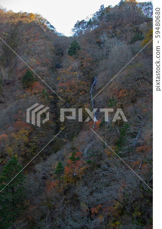 Nikko, Tochigi Prefecture Nikko in autumn, small stream next to Kegon Falls Nikko, Tochigi Prefecture Nikko in autumn, small stream next to Kegon Falls 59480680
