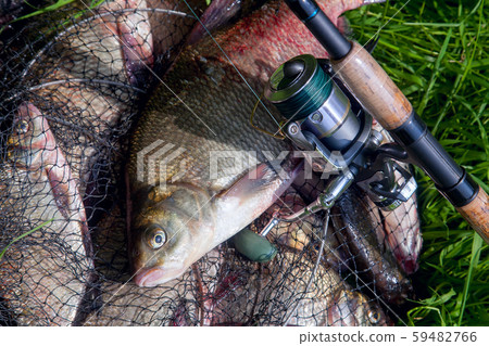 Successful fishing -  big freshwater bream fish 59482766