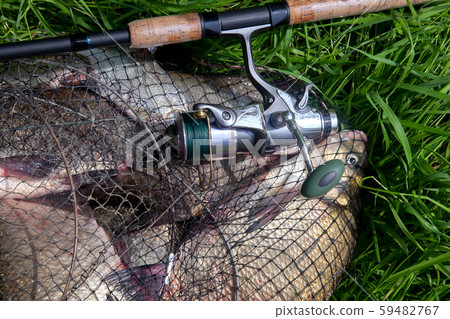 Keepnet with big freshwater common breams fish and 59482767