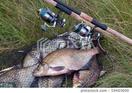 Successful fishing -  big freshwater bream fish 59483600