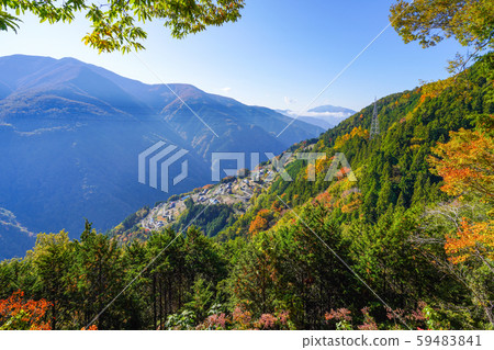 Shimoguri no Sato fall in the morning sun Shimoguri no Sato fall in the morning sun 59483841