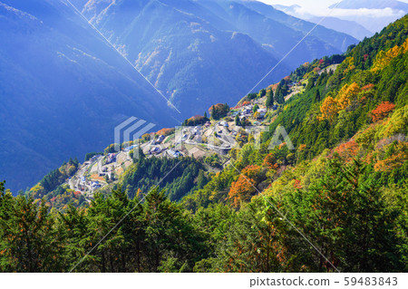 Shimoguri no Sato fall in the morning sun Shimoguri no Sato fall in the morning sun 59483843
