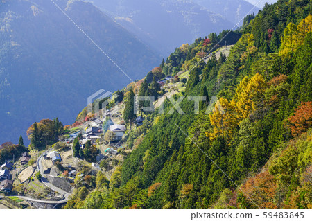 Shimoguri no Sato fall in the morning sun Shimoguri no Sato fall in the morning sun 59483845