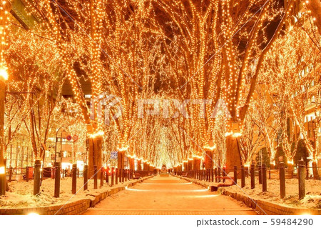 光之盛宴 59484290