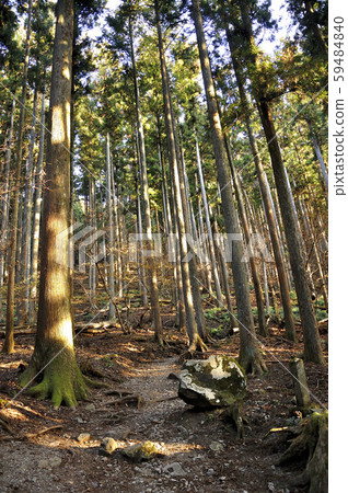 Oku Musashi Mt. Buko Omotesando Morning Oku Musashi Mt. Buko Omotesando Morning 59484840