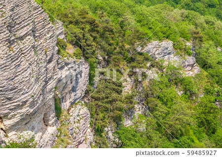 Rocky cliff in dense green forest. Spring colors Rocky cliff in dense green forest. Spring colors 59485927