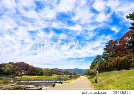 京都鴨川秋色 59486253