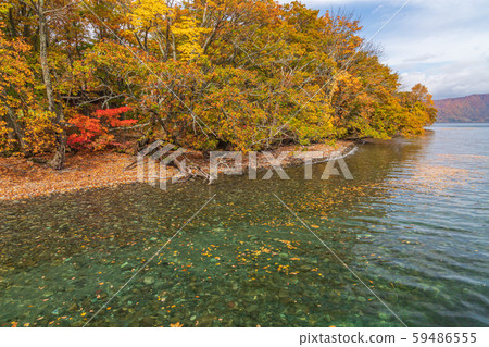 Towada Hachimantai National Park in autumn, Lake Towada Towada Hachimantai National Park in autumn, Lake Towada 59486555