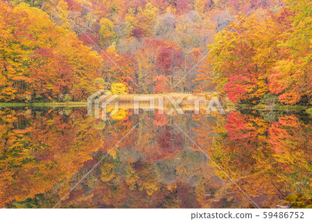 Kakinuma, Towada Hachimantai National Park in autumn 59486752