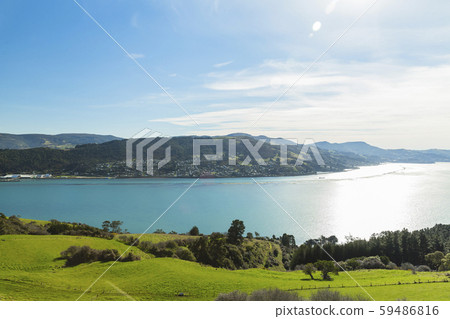 新西蘭但尼丁天文台奧塔哥港 59486816