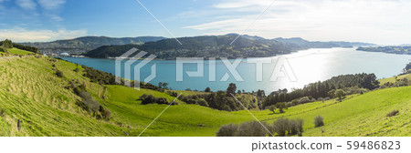 新西蘭但尼丁天文台奧塔哥港 59486823