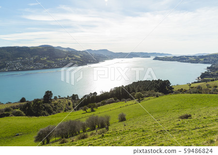 新西蘭但尼丁天文台奧塔哥港 59486824