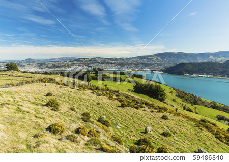 新西蘭但尼丁天文台奧塔哥港 59486840