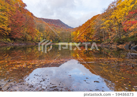 Kakinuma, Towada Hachimantai National Park in autumn 59486873