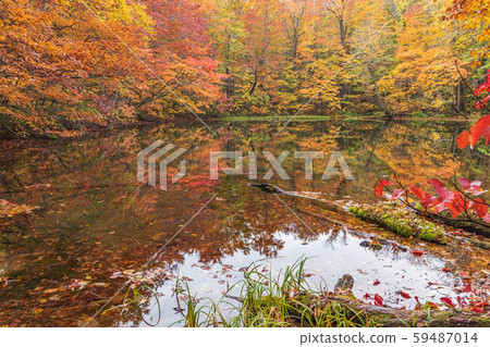 Kakinuma, Towada Hachimantai National Park in autumn 59487014
